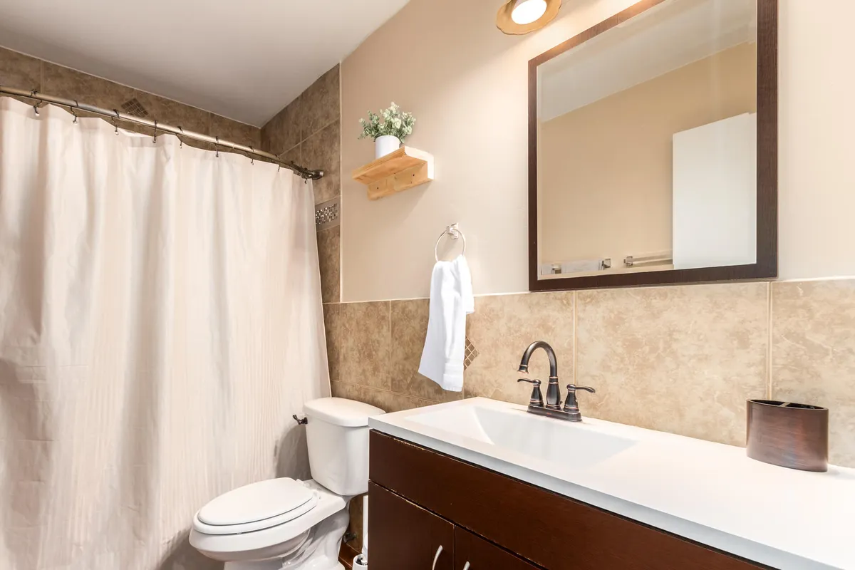 A bright, well-appointed bathroom with a vanity and sink, a large mirror, a shower curtain, and a decorative shelf with a plant. The atmosphere is clean, refreshing, and serene, supporting self-care routines and privacy.